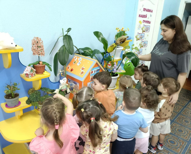 Знакомство с комнатными растениями Знакомство с комнатными растениями.